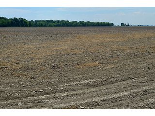 Property photo 18 - FARM & LAND AUCTION - 125+/- ACRES OFFERED IN 5 TRACTS IN EAST ALLEN COUNTY, INDIANA